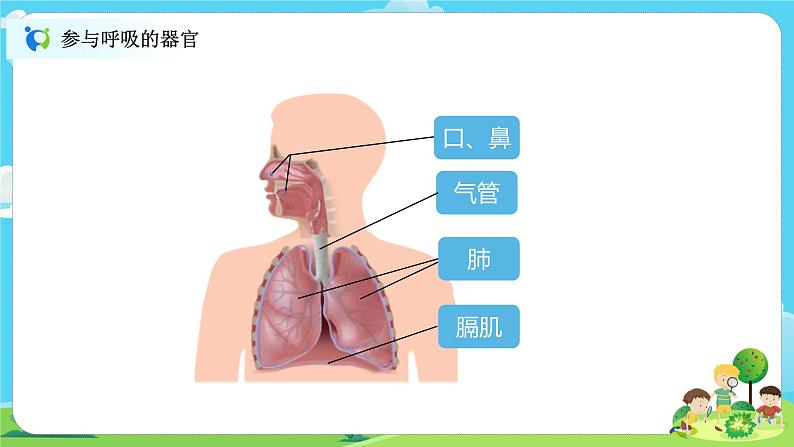 4.2.1《感受我们的呼吸》课件+教案05