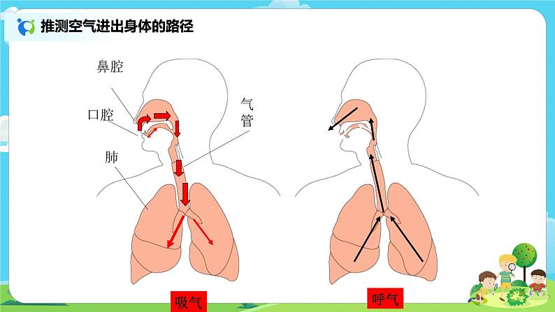 4.2.1《感受我们的呼吸》课件+教案06