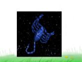 6.3.5《夏季星空》课件 教科版小学科学六下