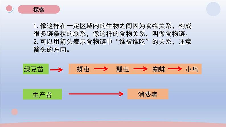 小学科学教科版五年级下册第一单元第6课《食物链与食物网》课件20（2022新版）06