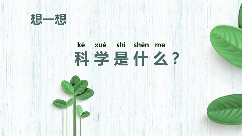 教科版1上第1单元第1课-我们知道的植物课件PPT03