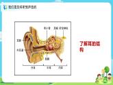 4.1.4《我们是怎样听到声音的》课件+教案