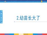 1.2《幼苗长大了》课件+教案设计