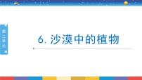 科学三年级下册6 沙漠中的植物完美版课件ppt