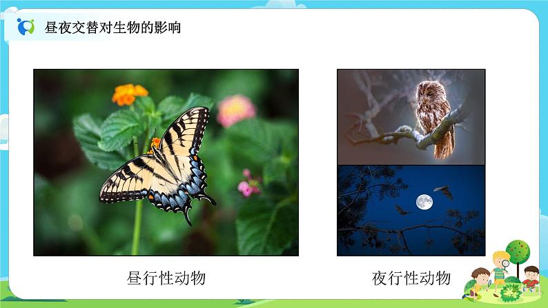 6.2.7《昼夜和四季变化对生物的影响》课件+教案05