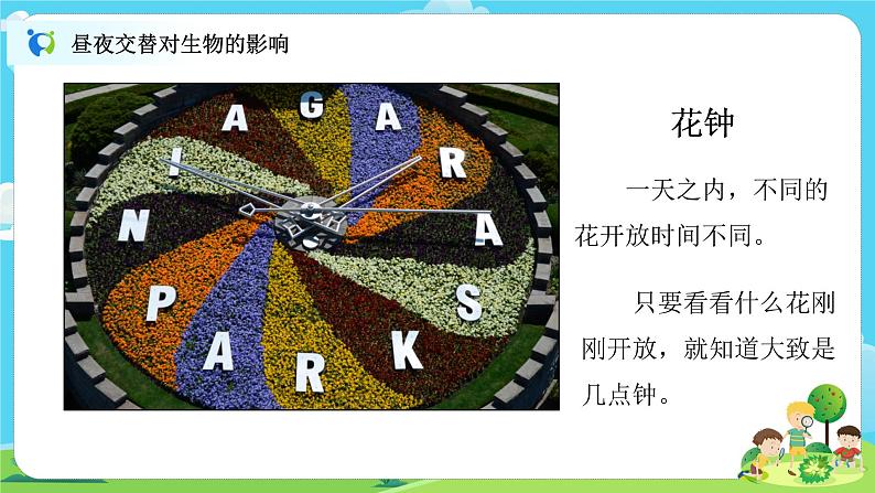 6.2.7《昼夜和四季变化对生物的影响》课件+教案08