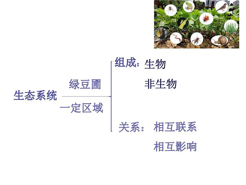 《设计和制作生态瓶》课件PPT06