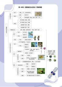 教科版（2017秋）科学4年级下册 思维导图