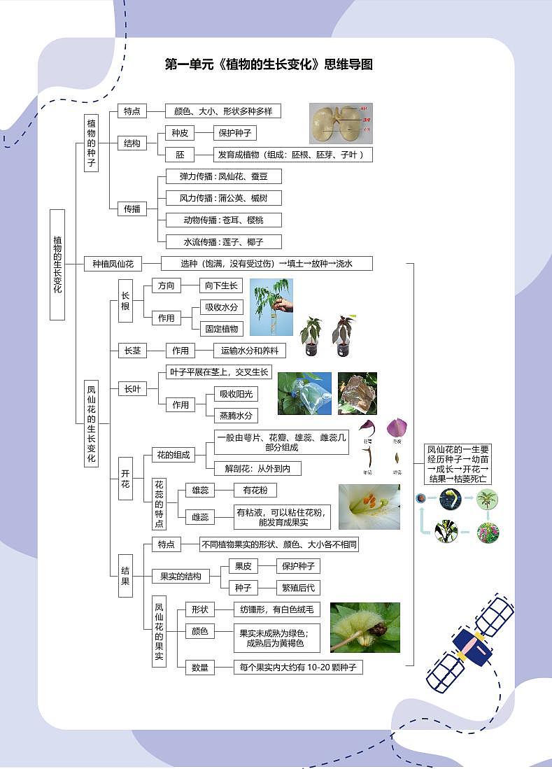 教科版（2017秋）科学4年级下册 思维导图第1页