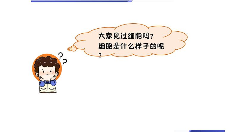 教科版六上《微小世界》单元第4课：《观察洋葱表皮细胞》教学课件第2页