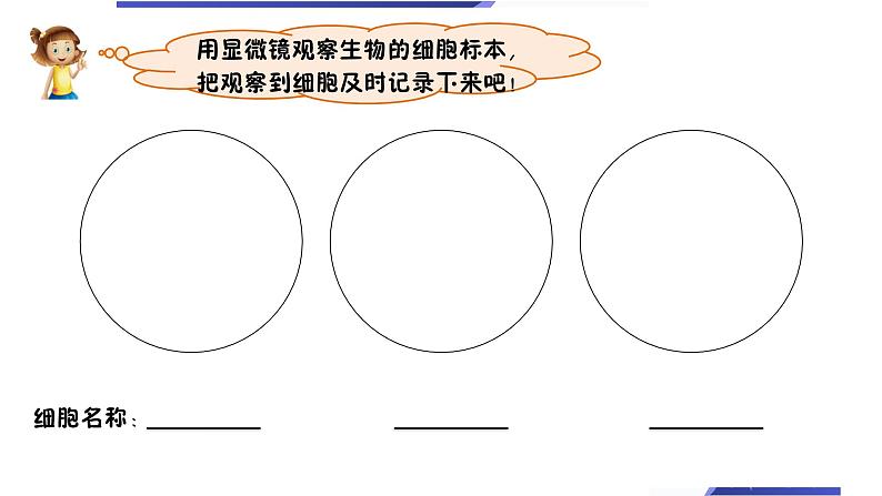 教科版六上《微小世界》单元第5课：《观察更多的生物细胞》教学课件第4页