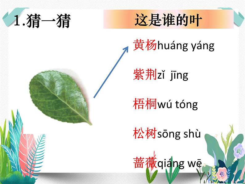 教科版科学 一上1-4《这是谁的叶》课件PPT第3页