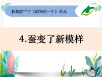 小学科学4.蚕变了新模样教案配套ppt课件