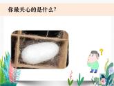 教科版科学 三上2-4《蚕变了新模样》课件PPT