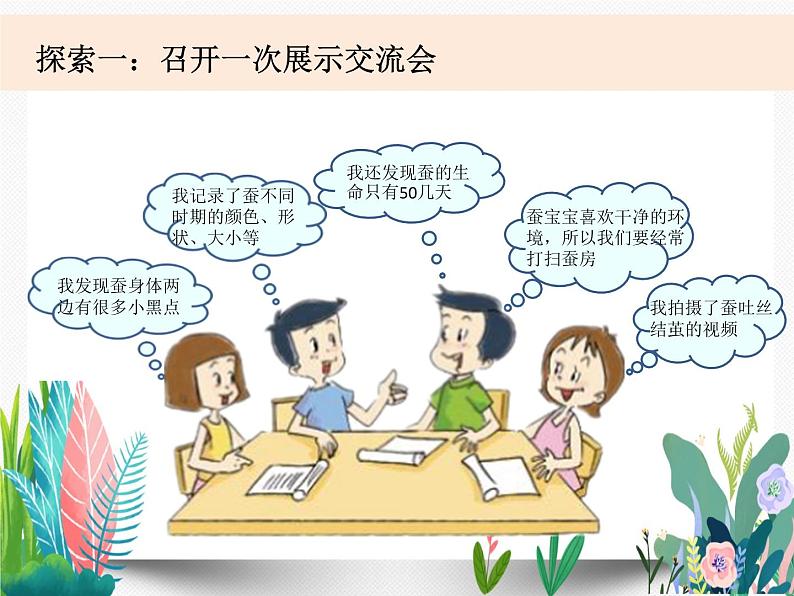 教科版科学 三下2-6《蚕的一生》课件PPT04