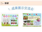 四下1-8《凤仙花的一生》(2)课件PPT