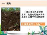 教科版科学 四上3-6《观察土壤》课件PPT