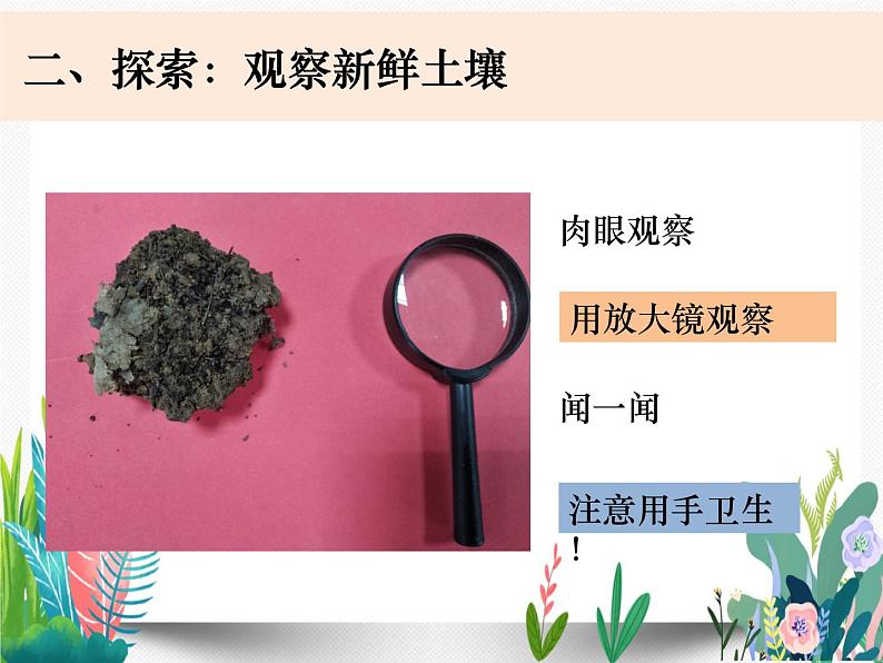 教科版科学 四上3-6《观察土壤》课件PPT第3页