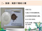 教科版科学 四上3-6《观察土壤》课件PPT