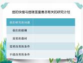 教科版科学 五下3-6《摆的研究》课件PPT