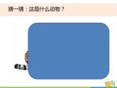 教科版科學 一下2-6《給動物分類》課件PPT