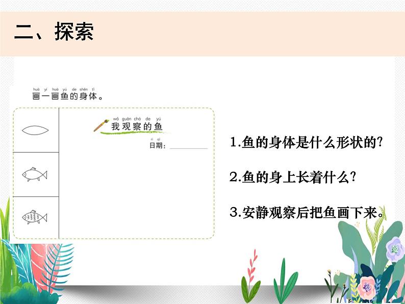 教科版科学 一下2-5《观察鱼》课件PPT03