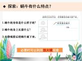 教科版科学 一下2-3《观察一种动物》课件PPT