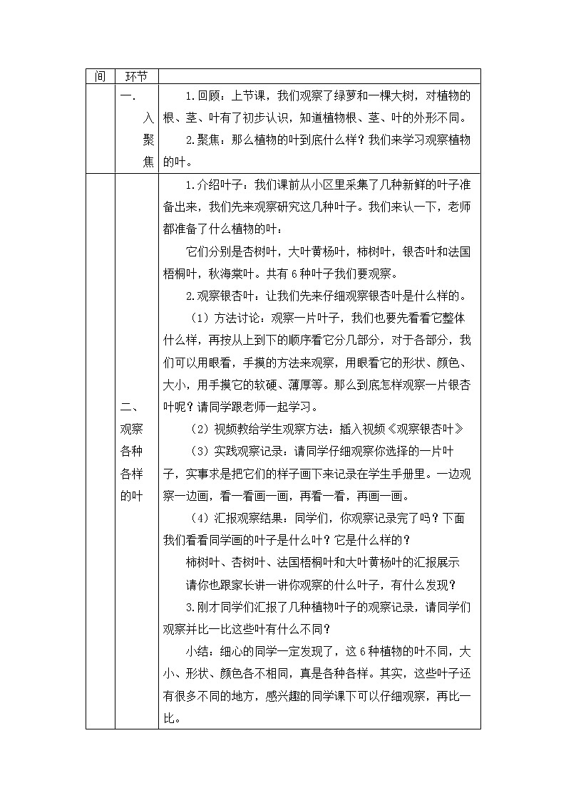 科教版小学科学一年级【科学(教科版)】观察叶-1教学设计02