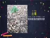 二年级【科学(教科版)】土壤——动植物的乐园-2课件