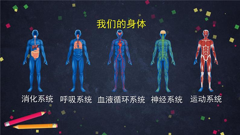 五年级【科学(教科版)】制订健康生活计划-2课件第2页