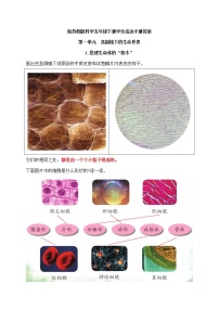 新苏教版科学五年级下册学生活动手册答案