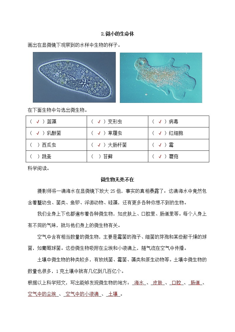 新苏教版科学五年级下册学生活动手册答案02