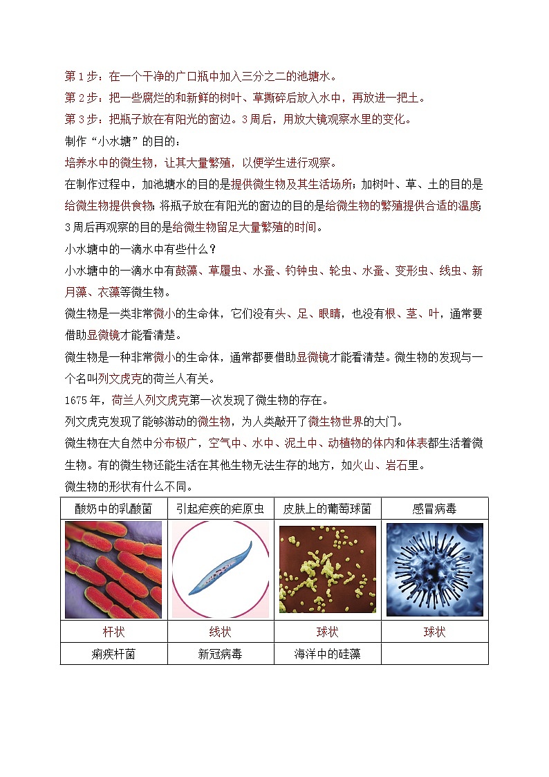 新苏教版五年级下册科学第一单元《显微镜下的生命世界》知识点整理第3页