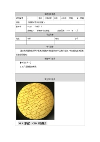 科学六年级上册4.观察洋葱表皮细胞学案