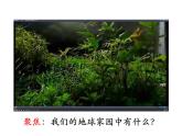 教科版科学 二上1-1《地球家园中有什么》课件