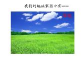 教科版科学 二上1-1《地球家园中有什么》课件
