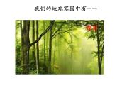 教科版科学 二上1-1《地球家园中有什么》课件