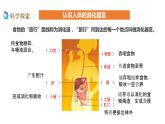 2教科版科学 .8《食物在身体里的旅行》课件
