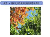 2教科版科学 .1.6《不同的季节》课件PPT
