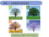 2教科版科学 .1.6《不同的季节》课件PPT