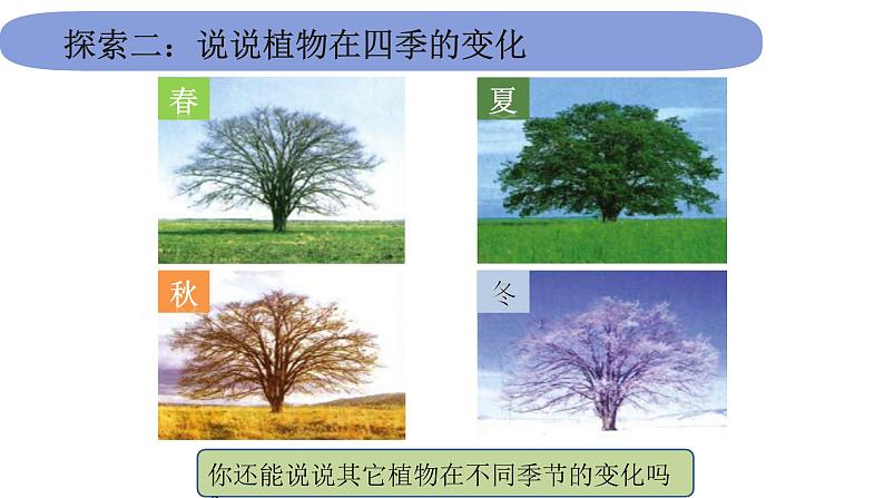 2教科版科学 .1.6《不同的季节》课件PPT第4页