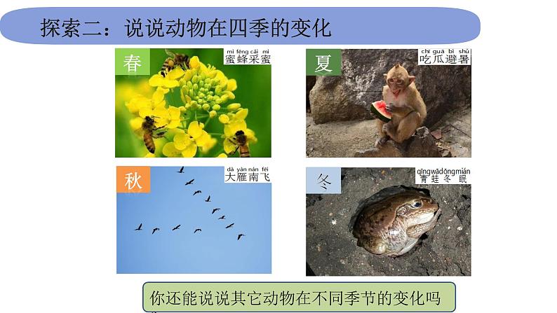 2教科版科学 .1.6《不同的季节》课件PPT第5页