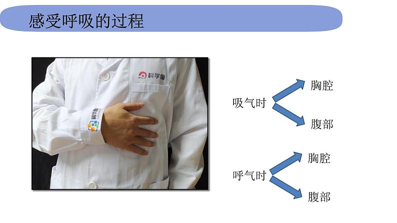 4教科版科学 .2.1《感受我们的呼吸》课件PPT03