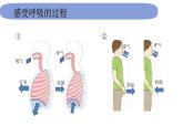 4教科版科学 .2.1《感受我们的呼吸》课件PPT