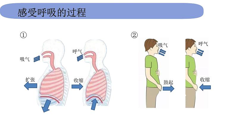 4教科版科学 .2.1《感受我们的呼吸》课件PPT04