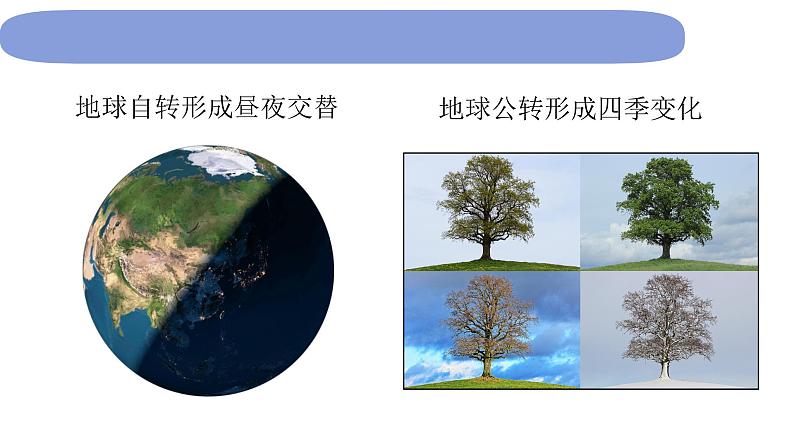 6教科版科学 .2.7《昼夜和四季变化对生物的影响》课件PPT02