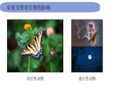 6教科版科学 .2.7《昼夜和四季变化对生物的影响》课件PPT