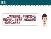 教科版科学 1、食物在身体里的旅行课件PPT