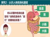 教科版科学 1、食物在身体里的旅行课件PPT