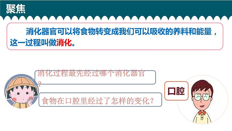 教科版科学 1、食物在口腔里的变化课件PPT02